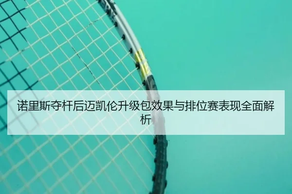 诺里斯夺杆后迈凯伦升级包效果与排位赛表现全面解析